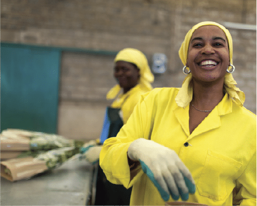 From Cherry to Cup:An Exploration of Ethiopian Coffee, from Ecosystem to Global Economy