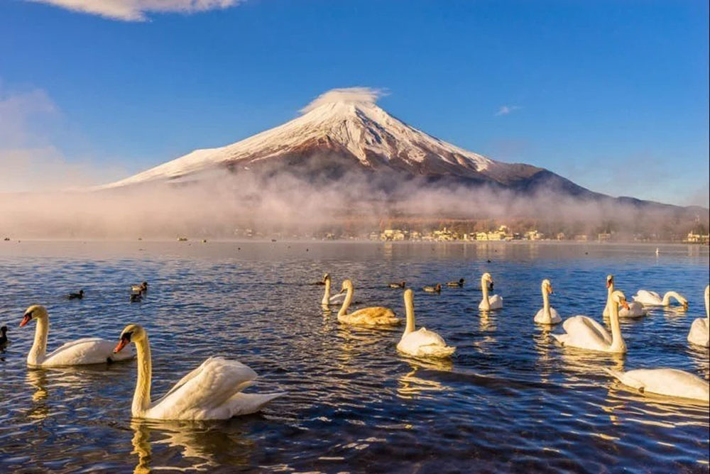 From Mount Fuji to Tokyo: A Journey to the Heart of Prevention and Sustainable Development,