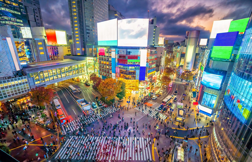 From Mount Fuji to Tokyo: A Journey to the Heart of Prevention and Sustainable Development,