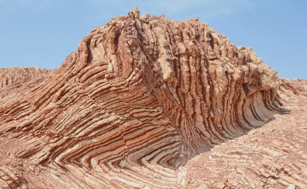 Oman: Where Mountains Meet the Sea - A Geological & Biological Odyssey