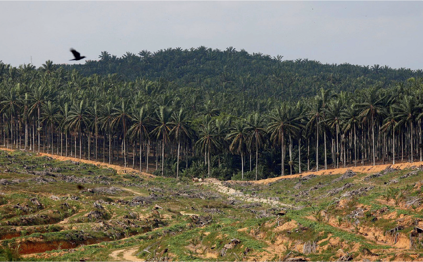 Tibet: Sustainable Development on the Roof of the World