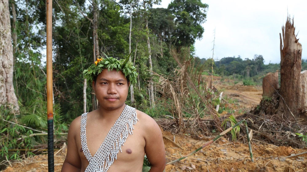 Palm Oil, Engine of Globalization: Social, Economic, and Environmental Impacts in Malaysia