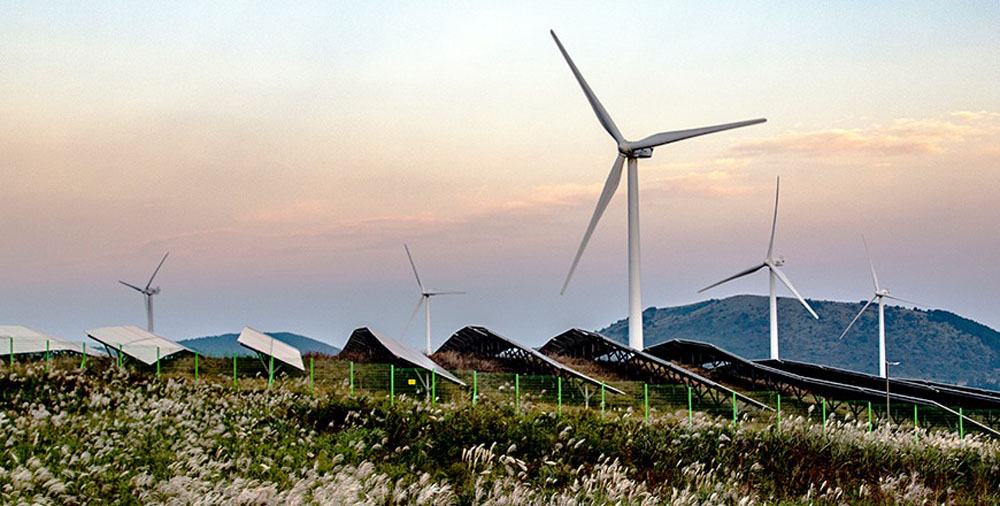 Tech Titans and Economic Tigers: South Korea's Rise to Global Prominence