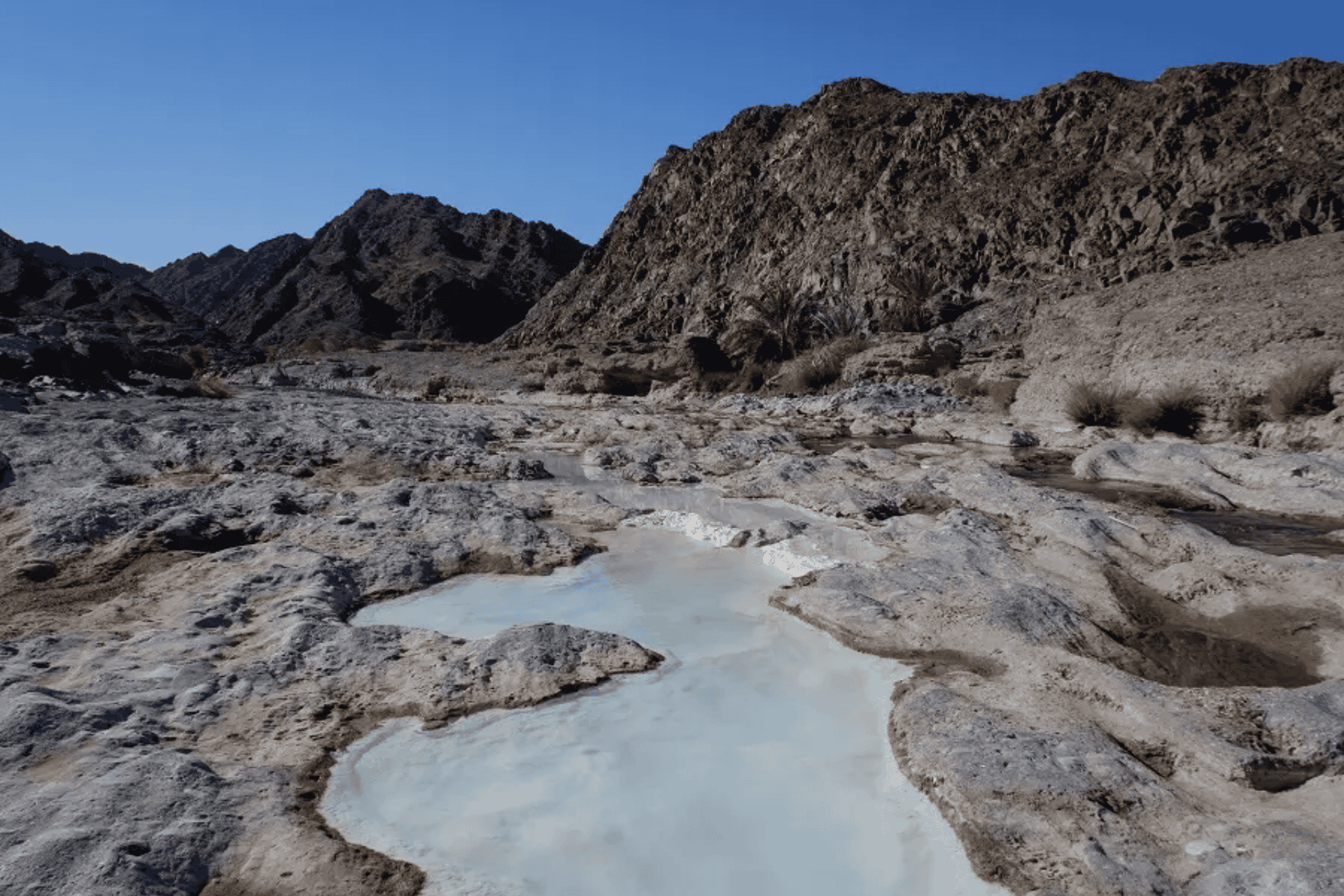 Oman Eco-Scientist : A Journey to Sustainable Development