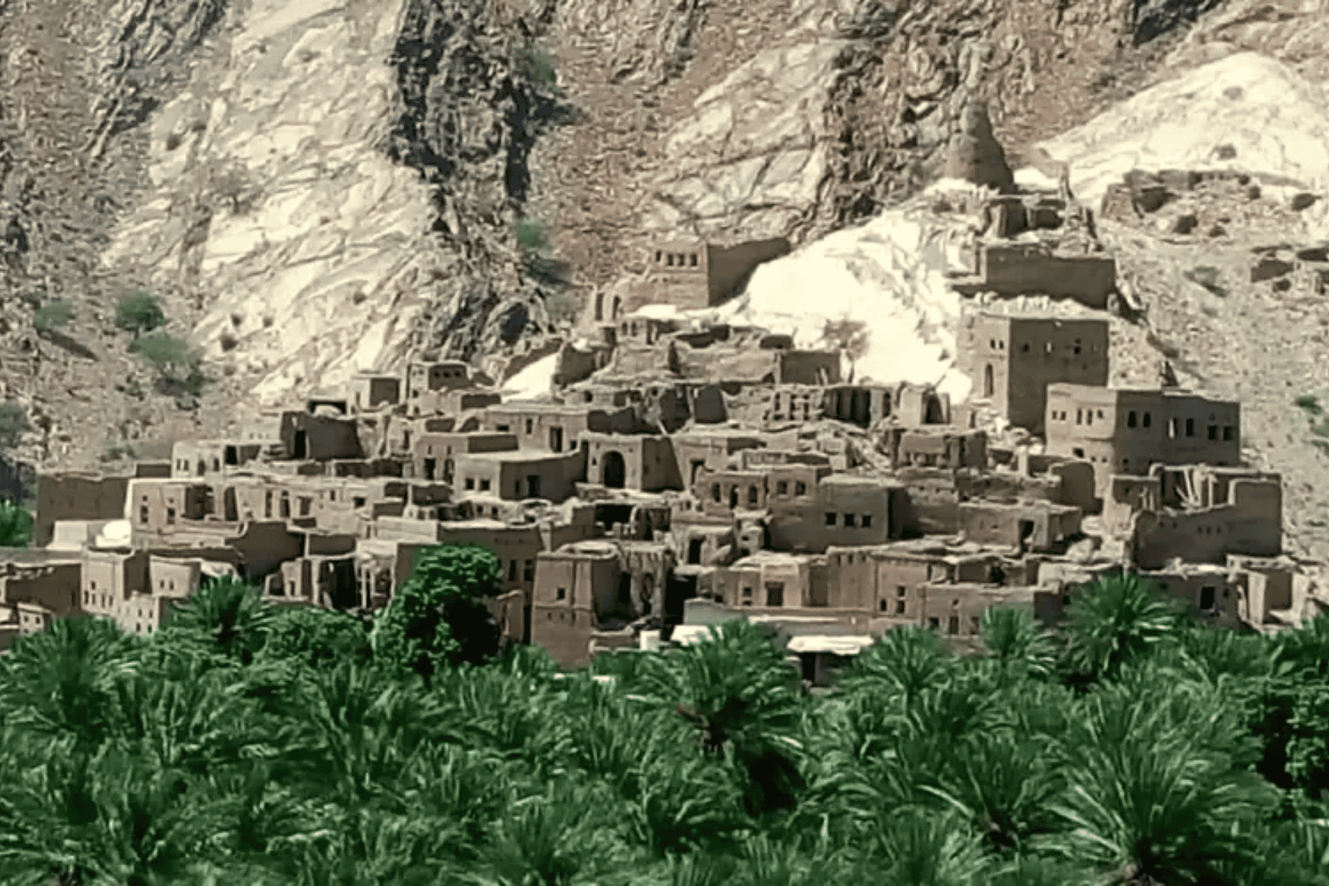 Oman Eco-Scientist : A Journey to Sustainable Development