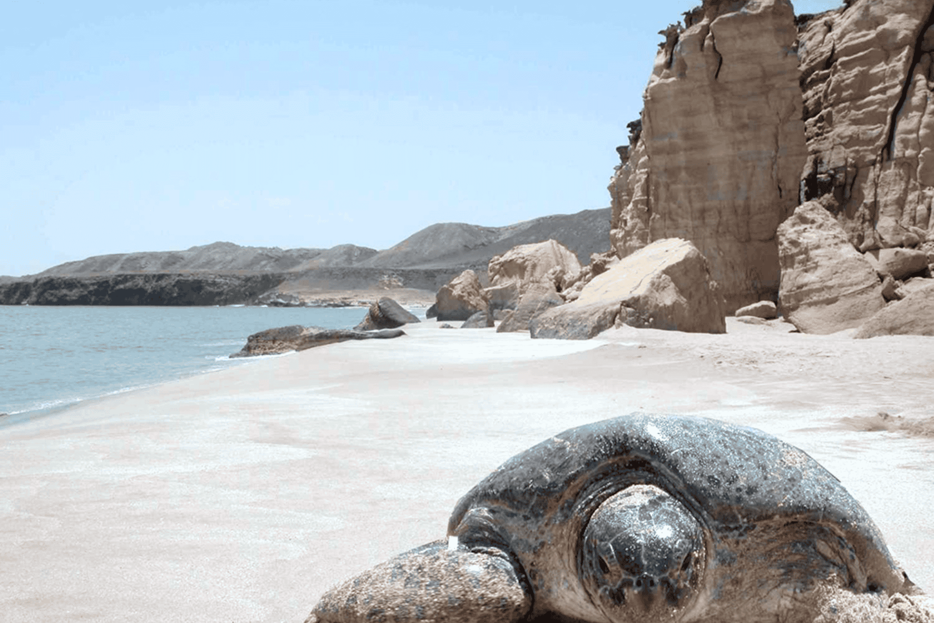 Oman Eco-Scientist : A Journey to Sustainable Development