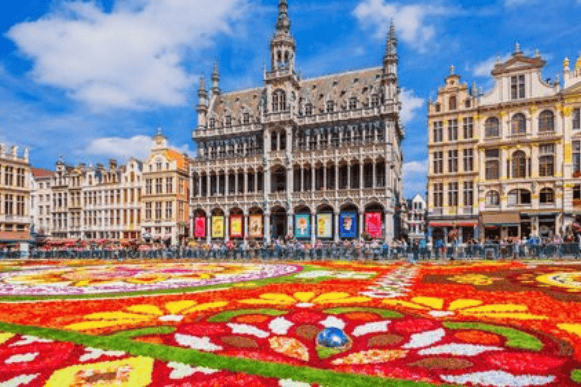 Brussels: A Journey through European Governance, History, and Civic Engagement
