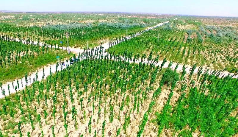 Xi’an: From Ancient History to Climate Action