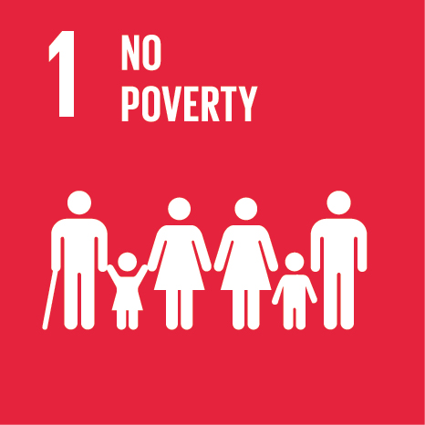 UN Sustainable Development Goal 1: No poverty