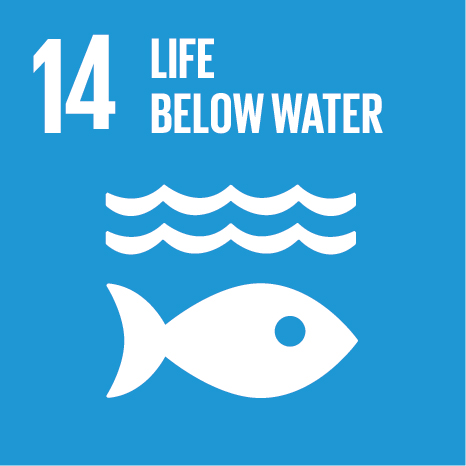 UN Sustainable Development Goal 14: Life below water